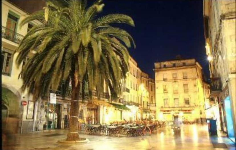 Studio Cosy Au Coeur De L'Ecusson - Arenes A 2 Min Nimes Bagian luar foto